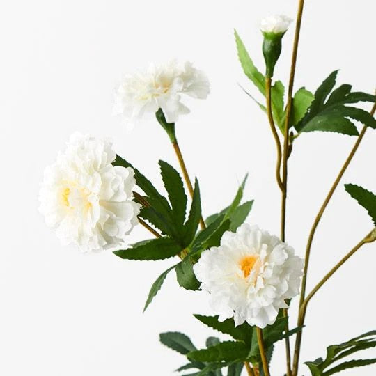 Marigold Spray - White 82cml 