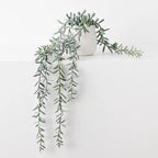 String Of Bananas In Pot 55cml 