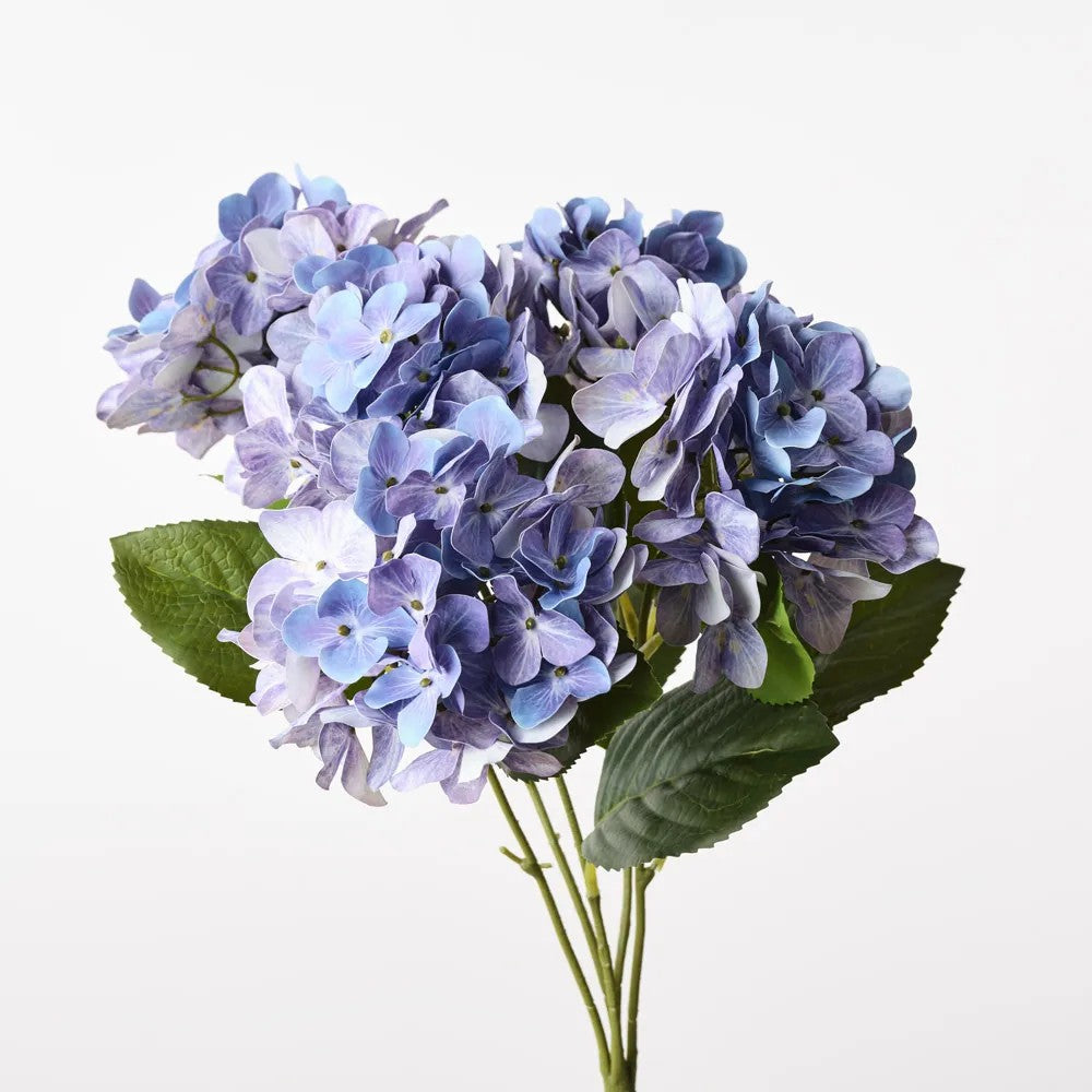 Hydrangea Bush Lavender Blue