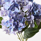Hydrangea Bush Lavender Blue