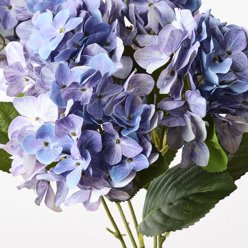 Hydrangea Bush Lavender Blue