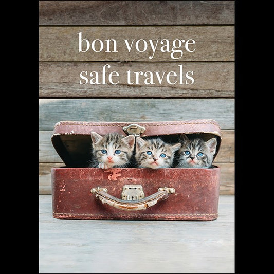 Bon Voyage, Safe Travels- Kitten Greeting Cards 