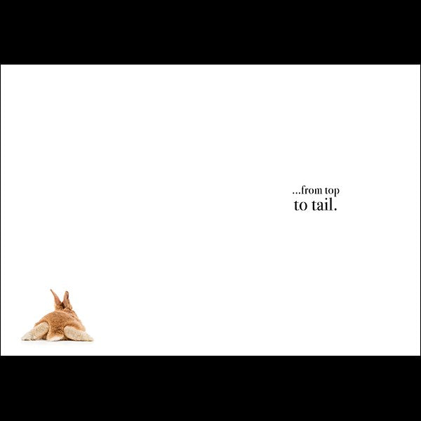 I Really Like You- Rabbit Greeting Card 