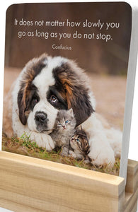 Affirmation Cards- Little Paws 
