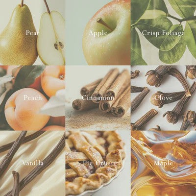 Mor Candle - Italian Pear 