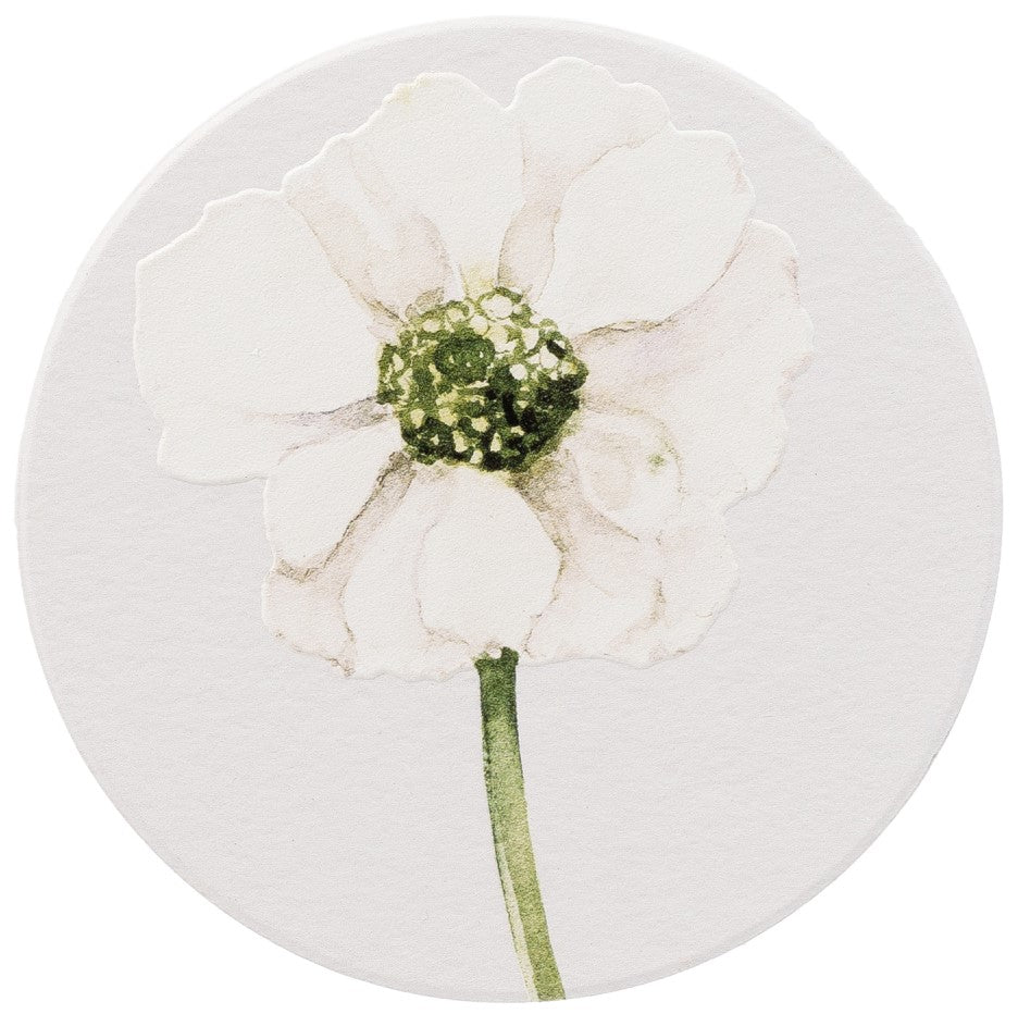 Greenhouse White Flower Ceramic Coaster