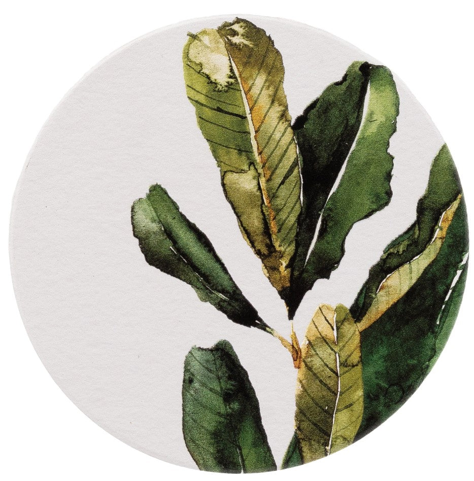 Greenhouse Green Ceramic Coaster