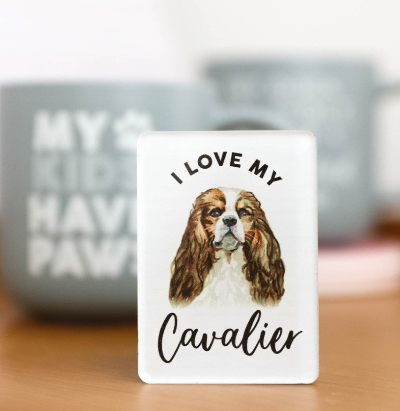 Pet Lovers Magnet - Cavalier 