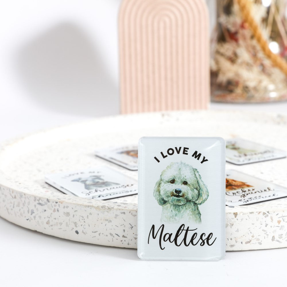 Pet Lovers Magnet - Maltese 
