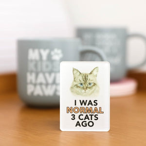 Pet Lovers Magnets- I Was Normal 3 Cats Ago 
