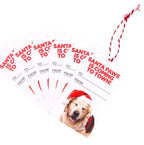 Christmas Coming To Town Set Of 6 Gift Tags 