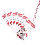 Christmas Santa Paws Set Of 6 Gift Tags 