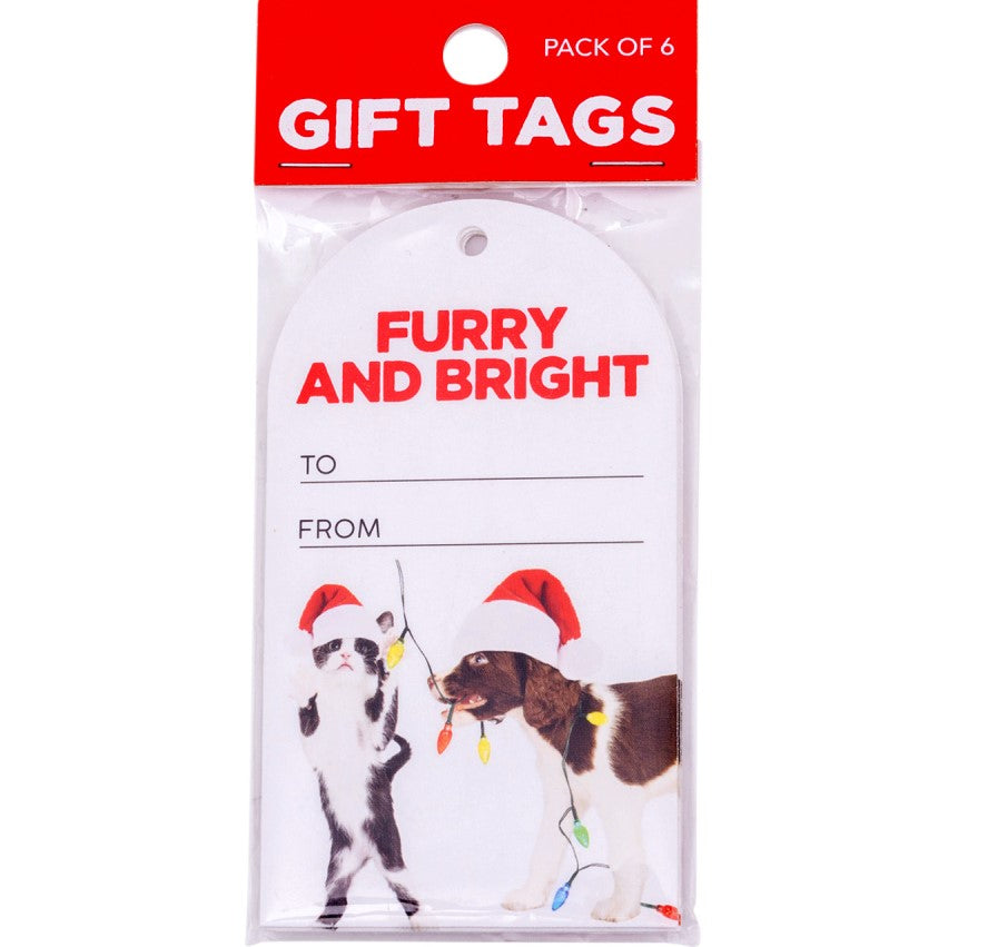 Christmas Bright Set Of 6 Gift Tags 