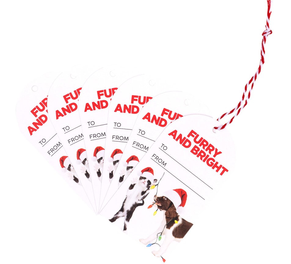 Christmas Bright Set Of 6 Gift Tags 