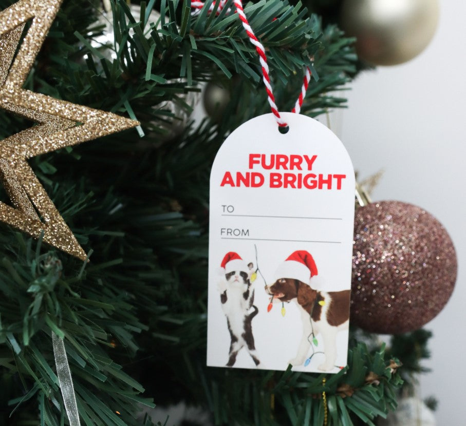 Christmas Bright Set Of 6 Gift Tags 