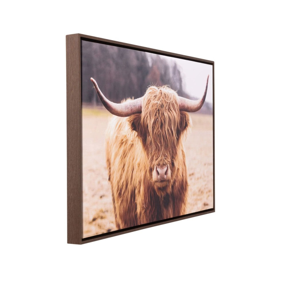 Rustic Meadow Highland Cow Canvas Frame 