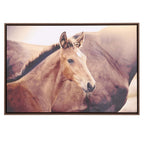 Rustic Meadow - Horse Framed Canvas 94x94cm 