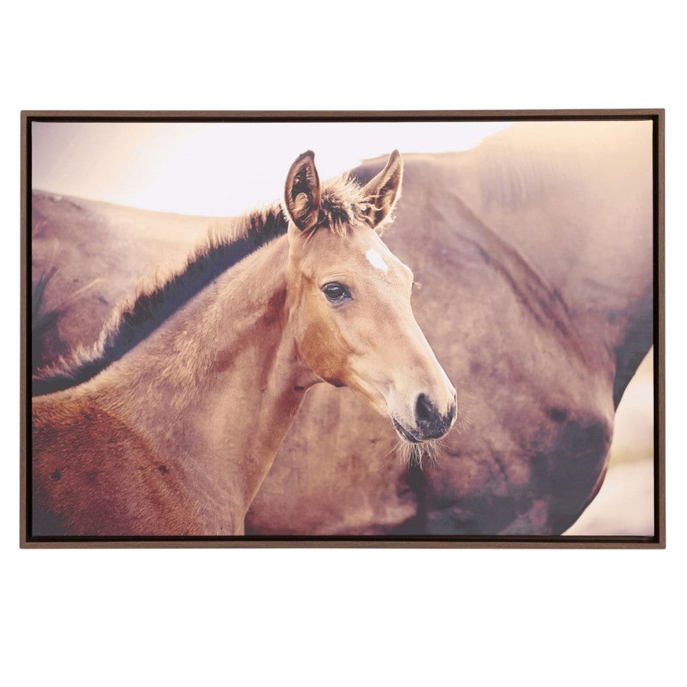 Rustic Meadow - Horse Framed Canvas 94x94cm 