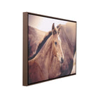Rustic Meadow - Horse Framed Canvas 94x94cm 