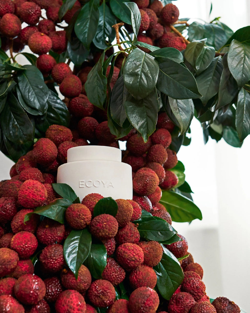 Ecoya Wax Melts Guava & Lychee Sorbet