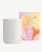 Ecoya Sweet Pea & Jasmine Ceramic Madison Candle