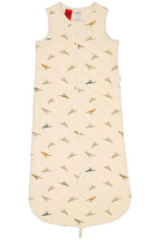 Load image into Gallery viewer, Sleep Bag Sleeveless Dinosauria 3-12m
