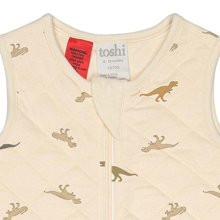 Sleep Bag Sleeveless Dinosauria 3-12m
