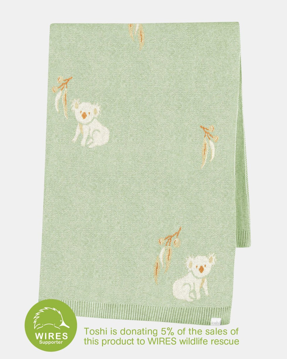 Organic Blanket Storytime - Koala