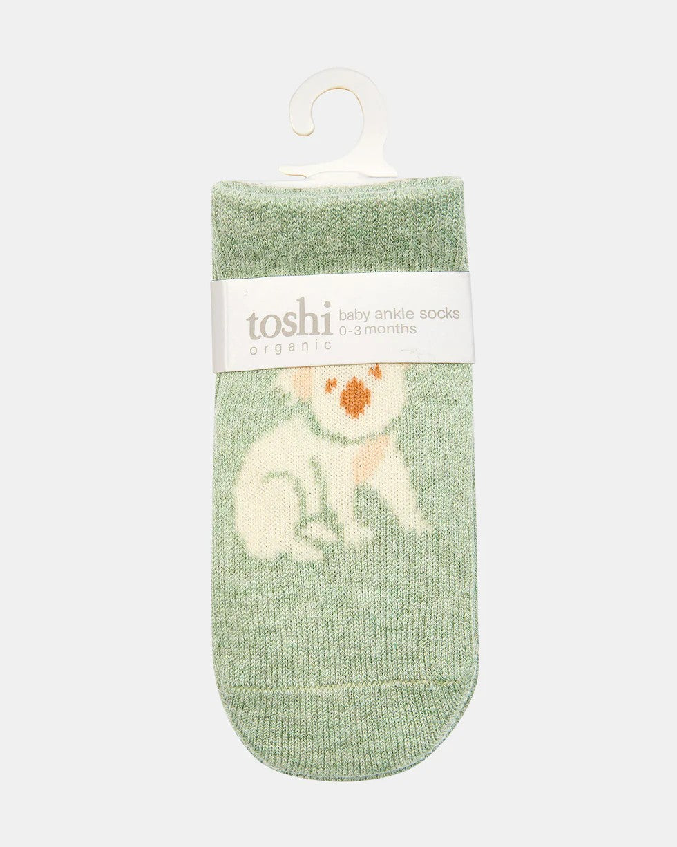 Organic Socks Ankle Jacquard - Koala [siz:3-6m]