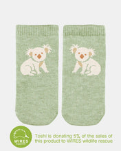 Load image into Gallery viewer, Organic Socks Ankle Jacquard - Koala [siz:6-12m]
