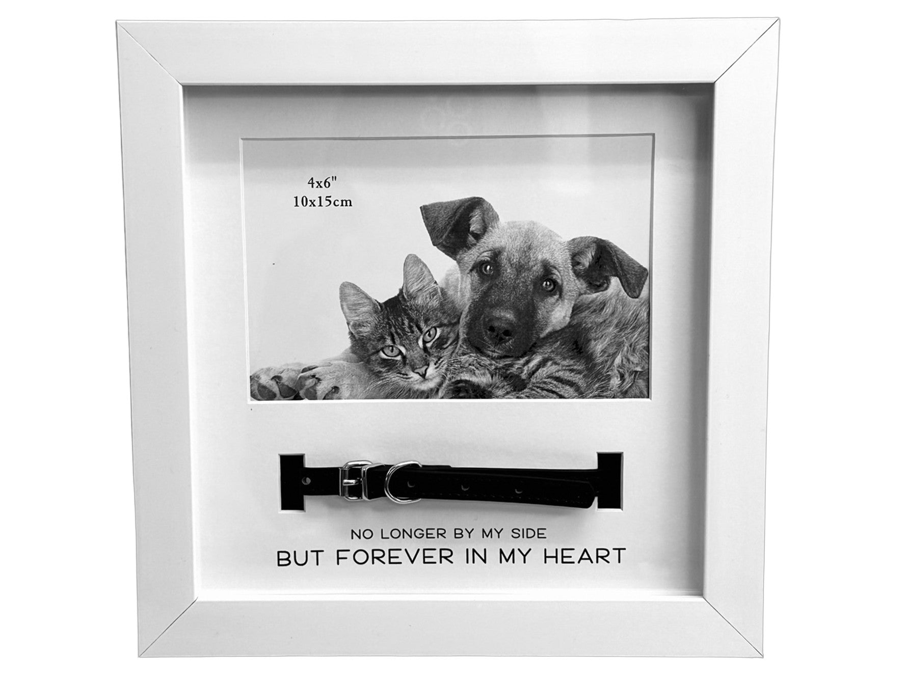 Pet Frame White With Collar 