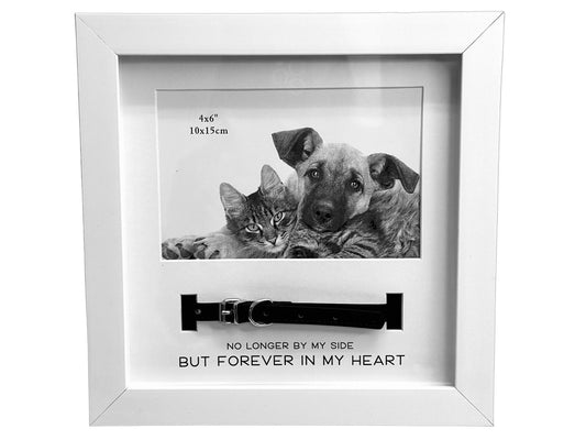 Pet Frame White With Collar 