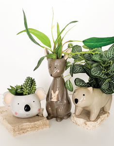 Vase - Kangaroo