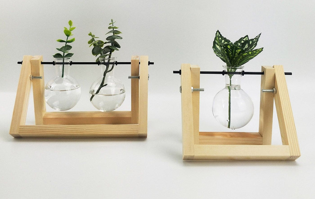 Double Propogation Natural & Glass 21 X 16c