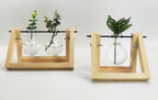 Double Propogation Natural & Glass 21 X 16c