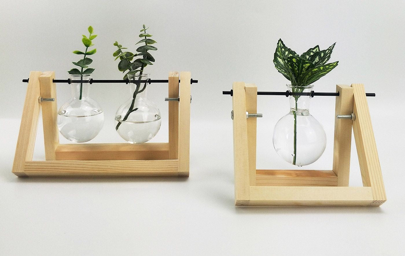 Double Propogation Natural & Glass 21 X 16c