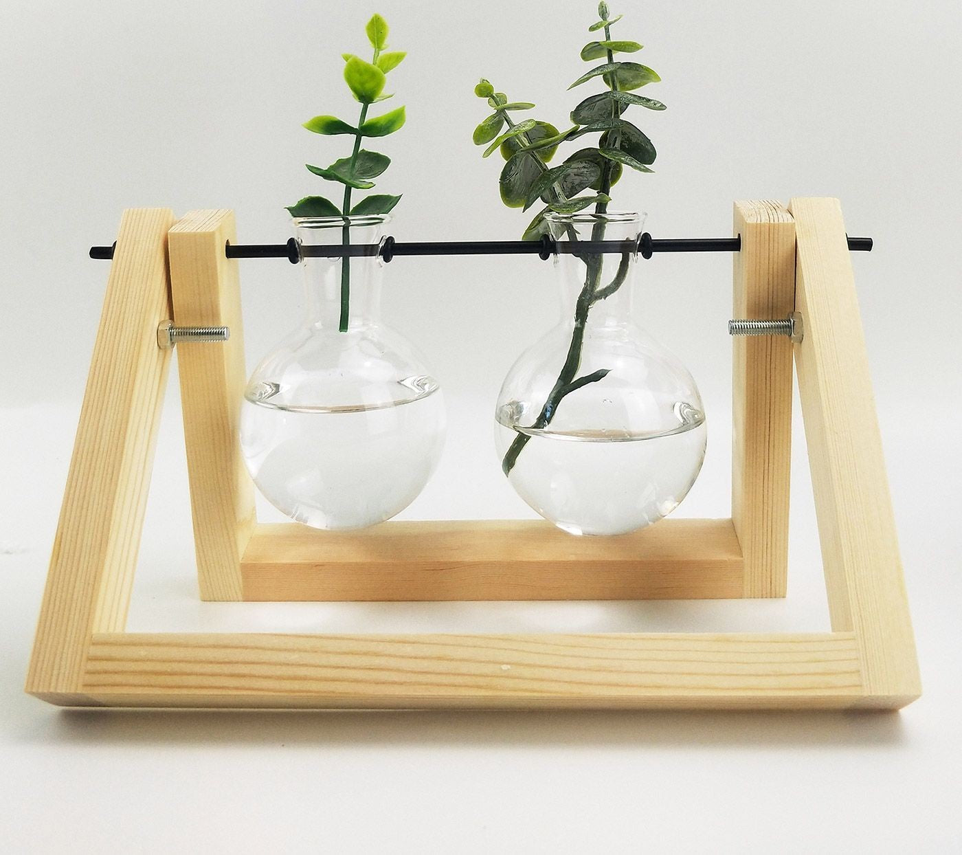 Double Propogation Natural & Glass 21 X 16c