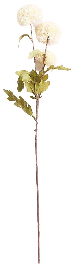 Chrysanthemum Stem White & Green 60cm