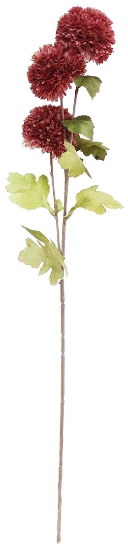 Chrysanthemum Stem Red & Green 60cm