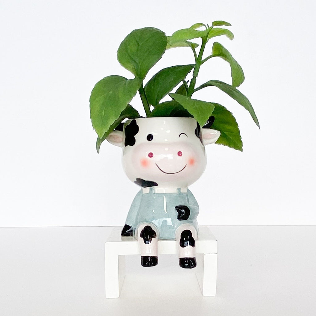 Sitting Cow Planter White And Sage 14cm 