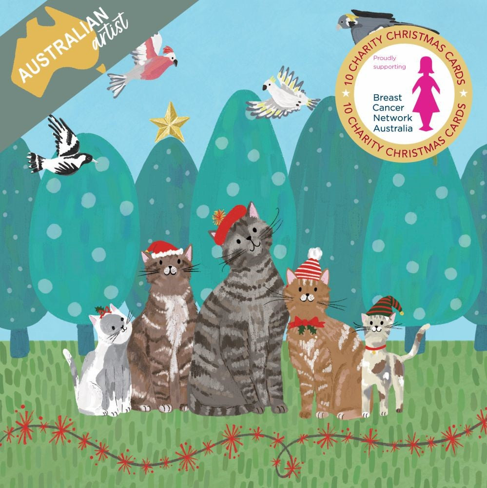 Bcna - Charity Christmas Cards -santa Cats