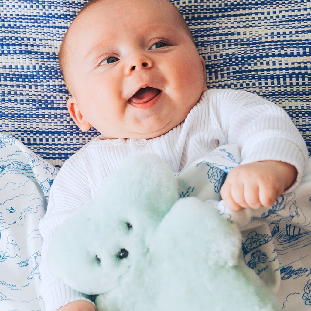 Flatout Bear Baby [col:bluey]