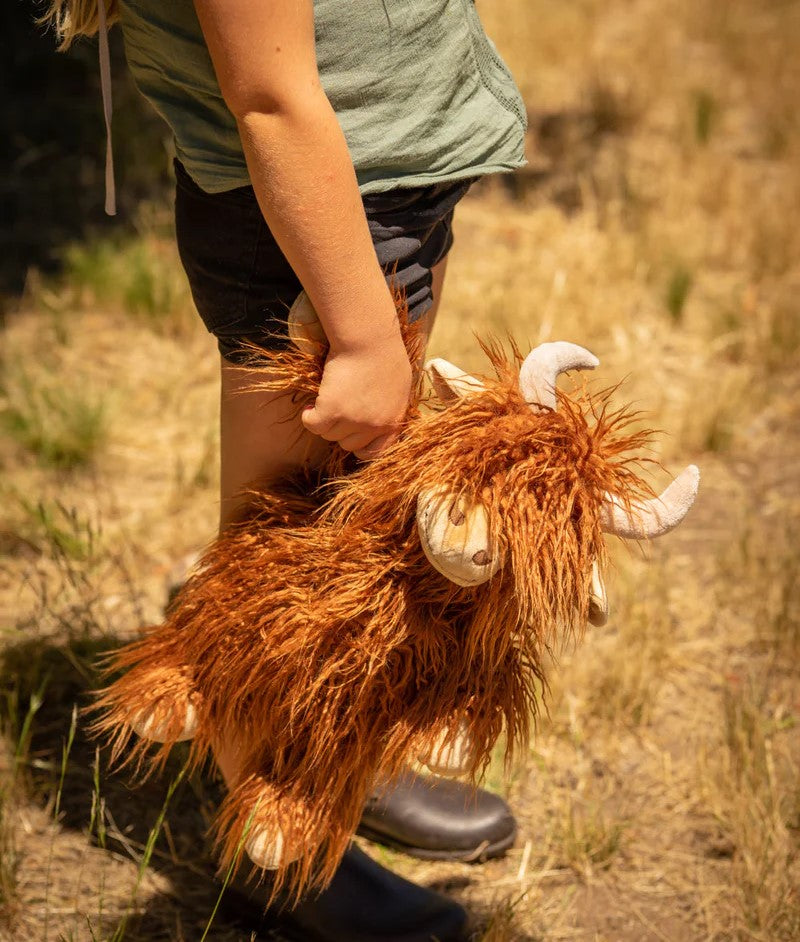 Henry The Highland Cow