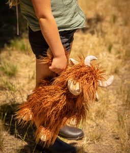 Henry The Highland Cow