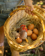 Bubba Rooster Rattle