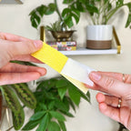 Fungus Gnat Compostable Sticky Traps 