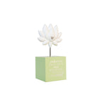 House Of Sentiments [sty:lotus]