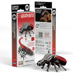 Eugy Goliath Beetle 3d Puzzle