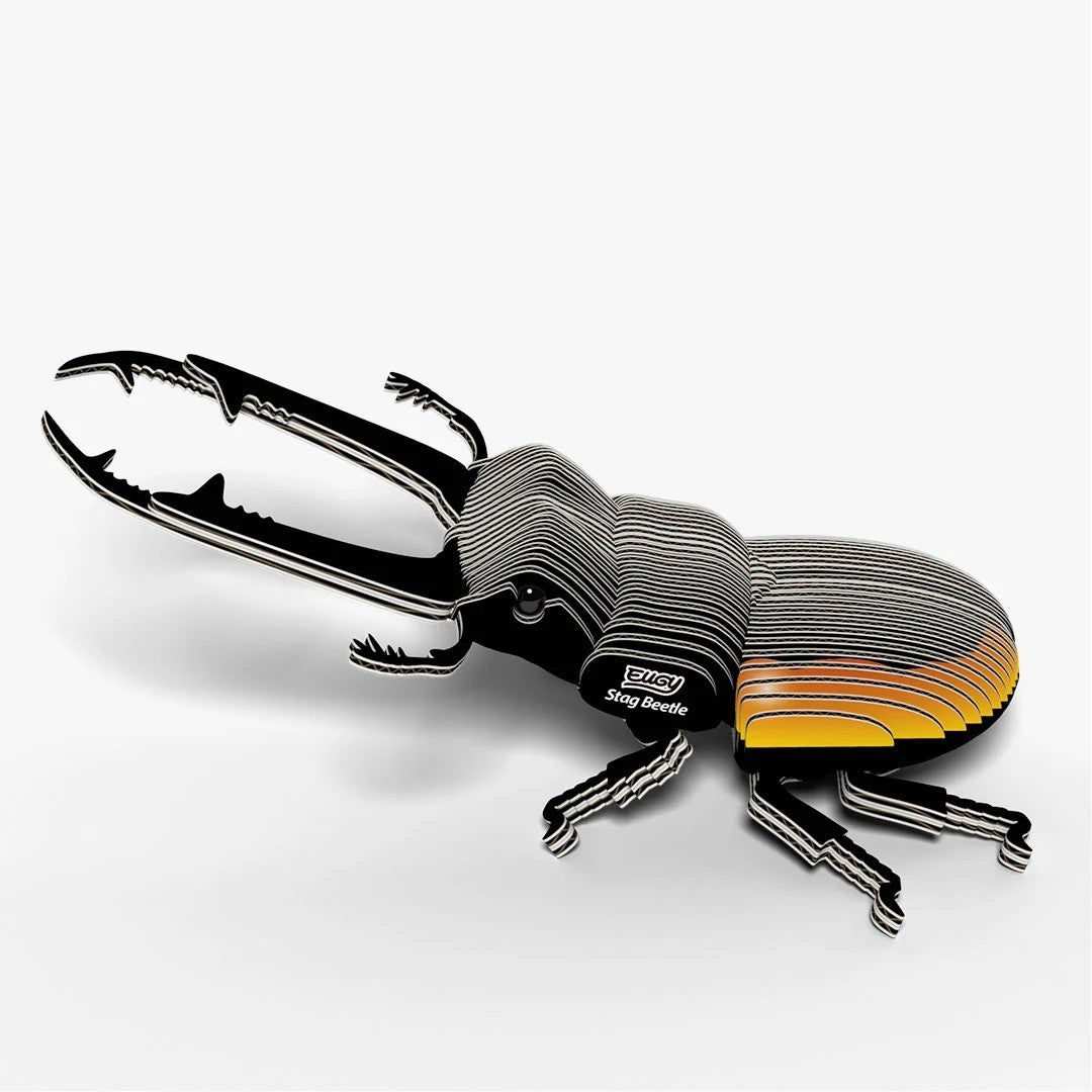 Eugy Stag Beetle