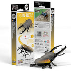 Eugy Stag Beetle